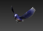 Purple bird 3D model